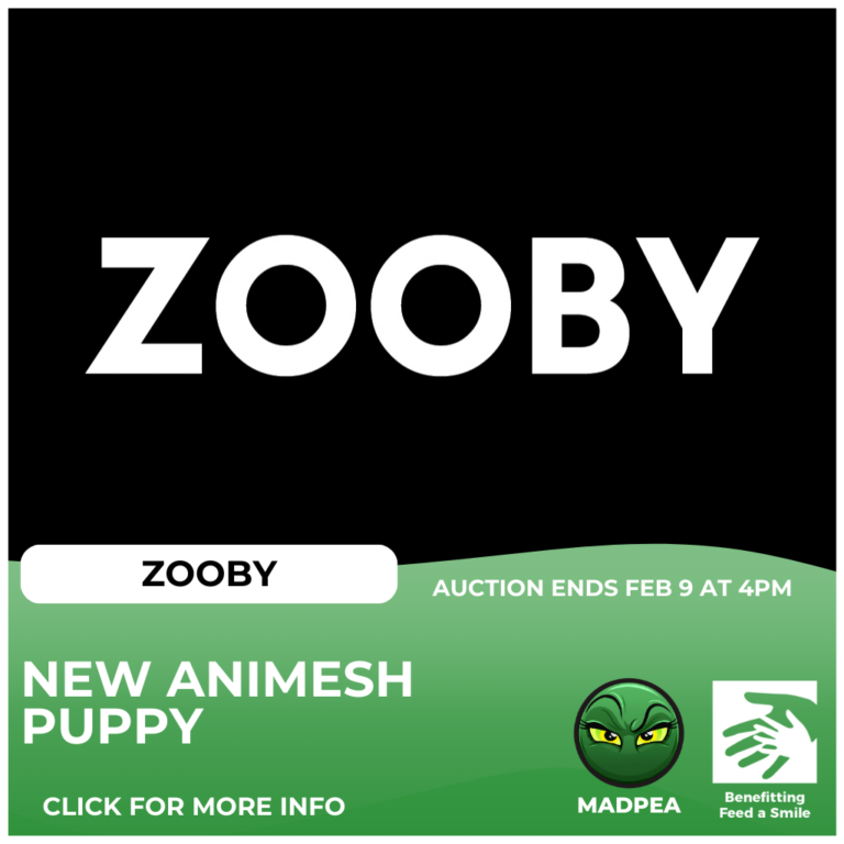 Zooby Puppy