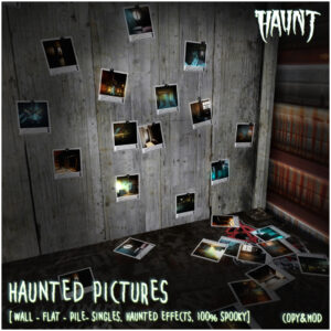 HAUNT Haunted Pictures