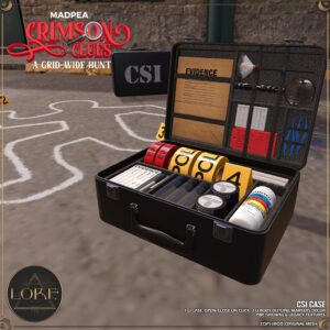LORE CSI Case Prize