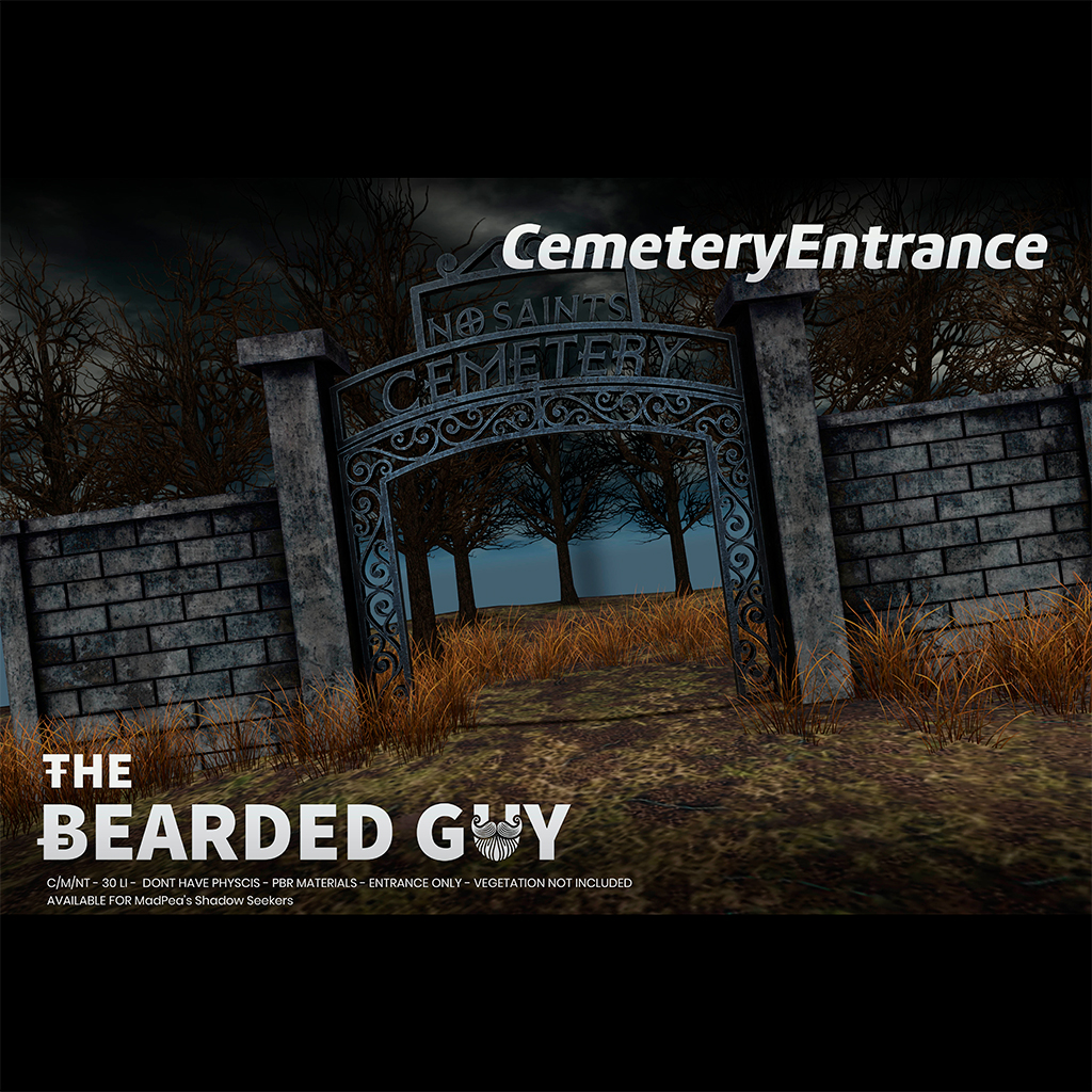 PRIZE 26 - The Bearded Guy