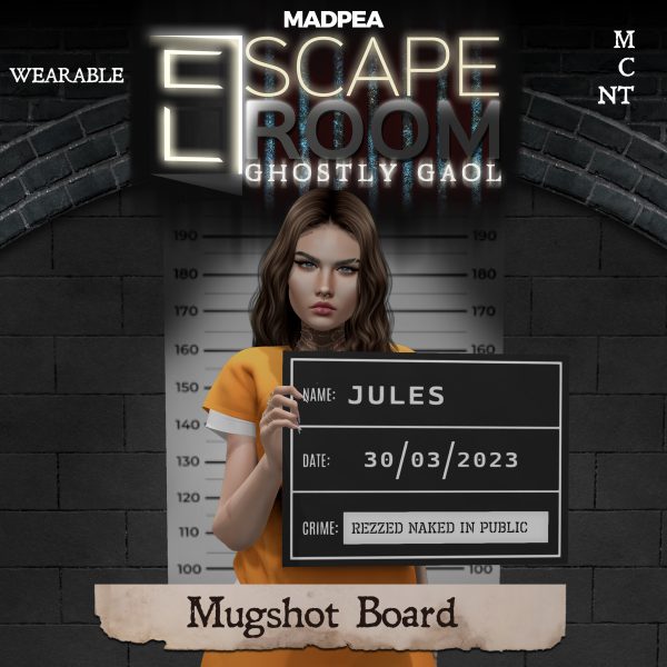 Ghostly Gaol Prize Mugshot Board